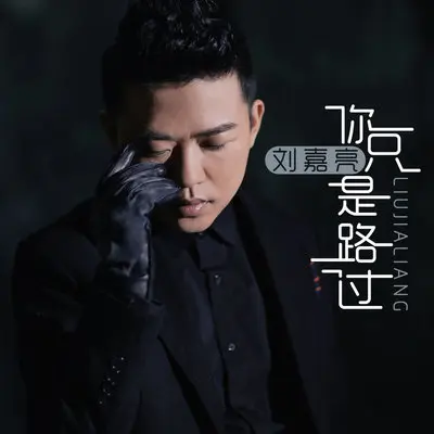 你只是路过封面