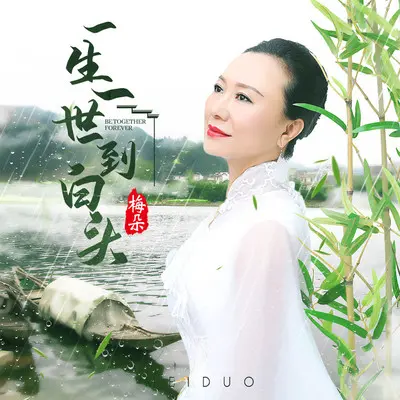 一生一世到白头 (伴奏)封面