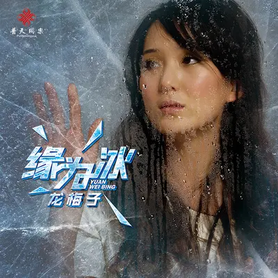 缘为冰 (DJ何鹏版)封面