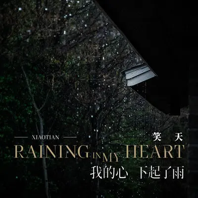我的心下起了雨 - 笑天封面