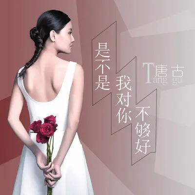 是不是我对你不够好 - 唐古封面
