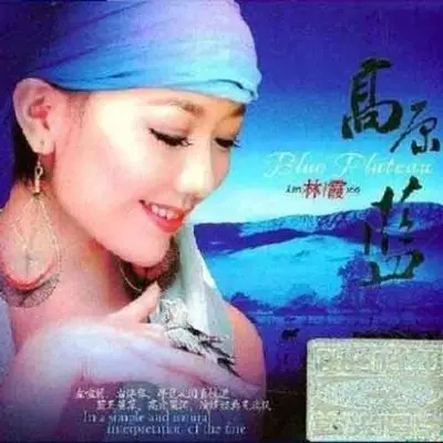 姑娘我爱你封面