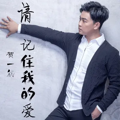 请记住我的爱封面
