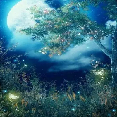 轻柔睡眠曲（纯音乐）封面