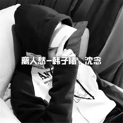 离人愁 (DJ版)封面