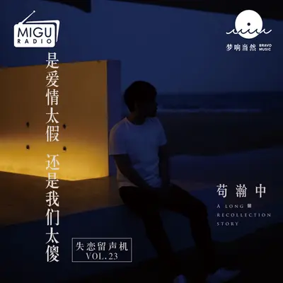 是爱情太假 还是我们太傻(失恋留声机第二十三期)封面
