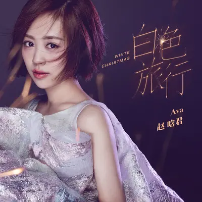 给你我的手 - 赵晗君封面