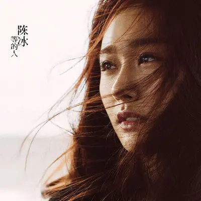对的错 - 陈冰封面