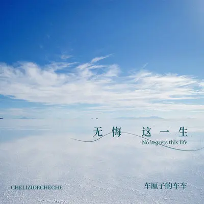 无悔这一生封面