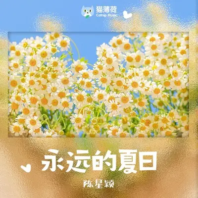 永远的夏日封面
