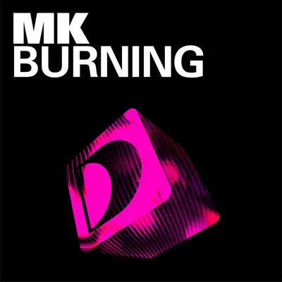 Burning(Vibe Mix Edit)封面