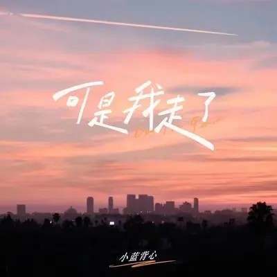 可是我走了封面