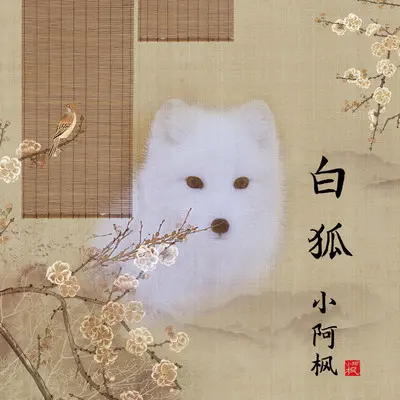 白狐 (DJ何鹏版)封面