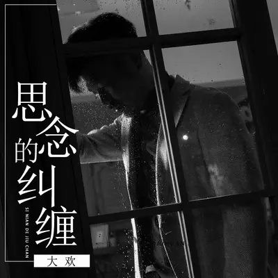 思念的纠缠 (DJ默涵版)封面