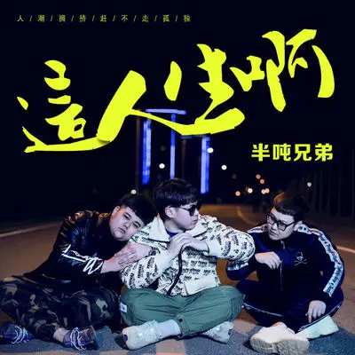 这人生啊 (DJ默涵版伴奏)封面