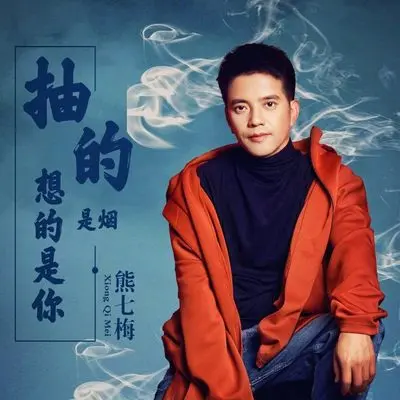 抽的是烟想的是你（DJheap九天版伴奏）封面