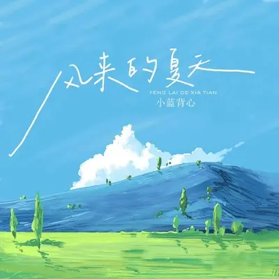 风来的夏天封面