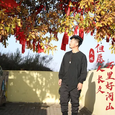但愿人长久万里好河山封面