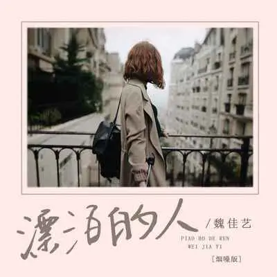 漂泊的人 (烟嗓DJ默涵版)封面