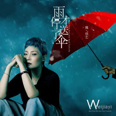 雨停了才送伞封面