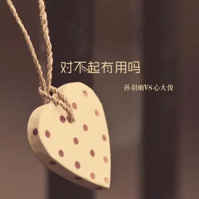 对不起有用吗封面