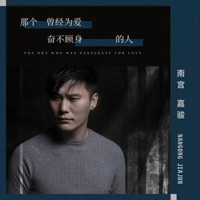 那个曾经为爱奋不顾身的人封面