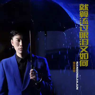 就算流过眼泪又如何封面