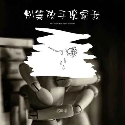 别等放手说爱我(女版)封面