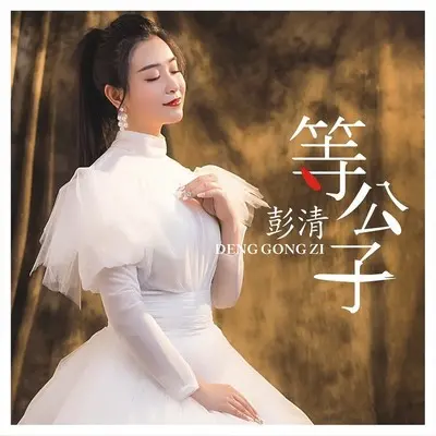 等公子(伴奏)封面