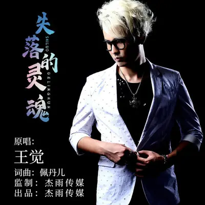失落的灵魂(伴奏)封面