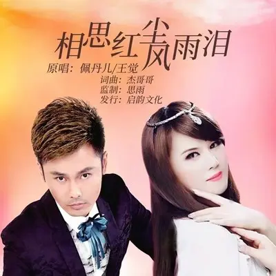 相思红尘风雨泪(伴奏) - 佩丹儿 / 王觉封面