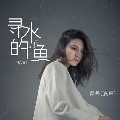 寻水的鱼 (Live)封面