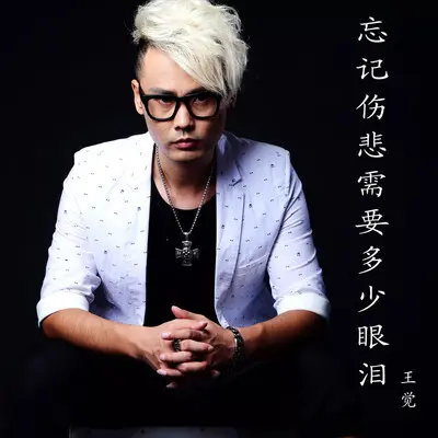 忘记伤悲需要多少眼泪(伴奏)封面