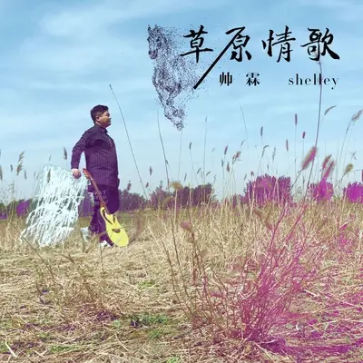 草原情歌 - 帅霖封面