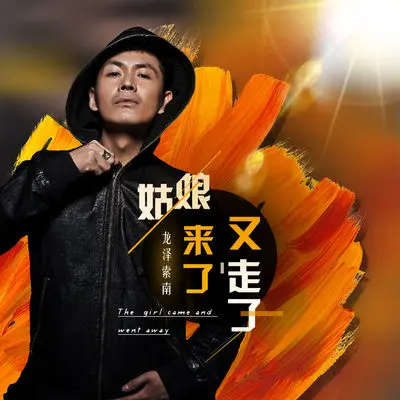 姑娘来了又走了（完整版）封面