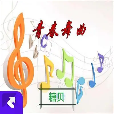 随心所意（金属版）封面