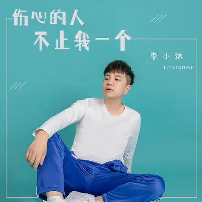 伤心的人不止我一个封面