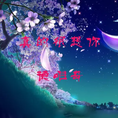 醒不来的梦封面