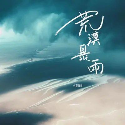 荒漠暴雨封面