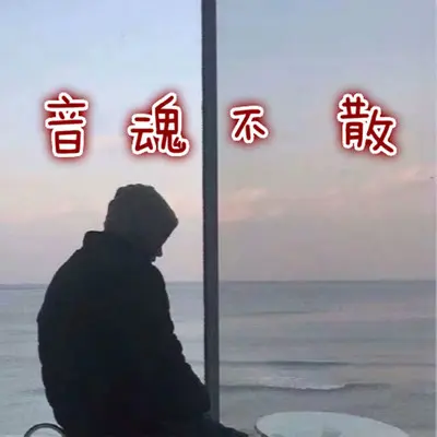 欢快节奏 (DJ版)封面