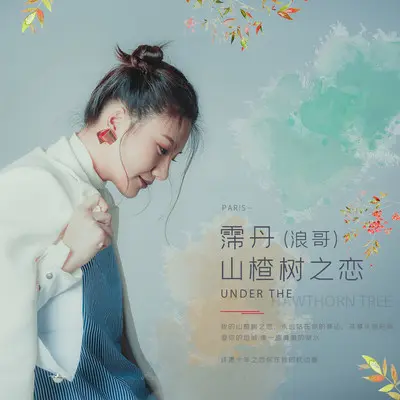 山楂树之恋封面