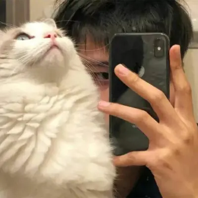 已读不回封面