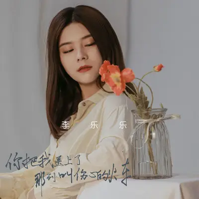 你把我送上了那列叫伤心的火车封面