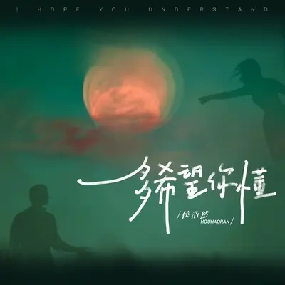 多希望你懂封面