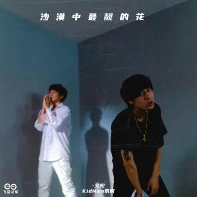 沙漠中最靓的花封面