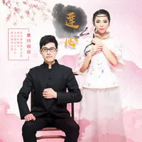 莲心 (DJ版)