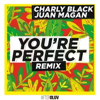 You Are Perfect (Remix)