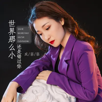 世界那么小还是错过你 (完整版)封面
