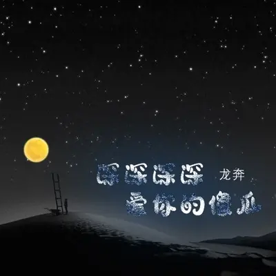 深深深深爱你的傻瓜(伴奏)封面