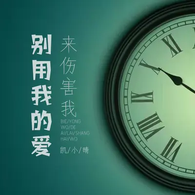 别用我的爱来伤害我封面